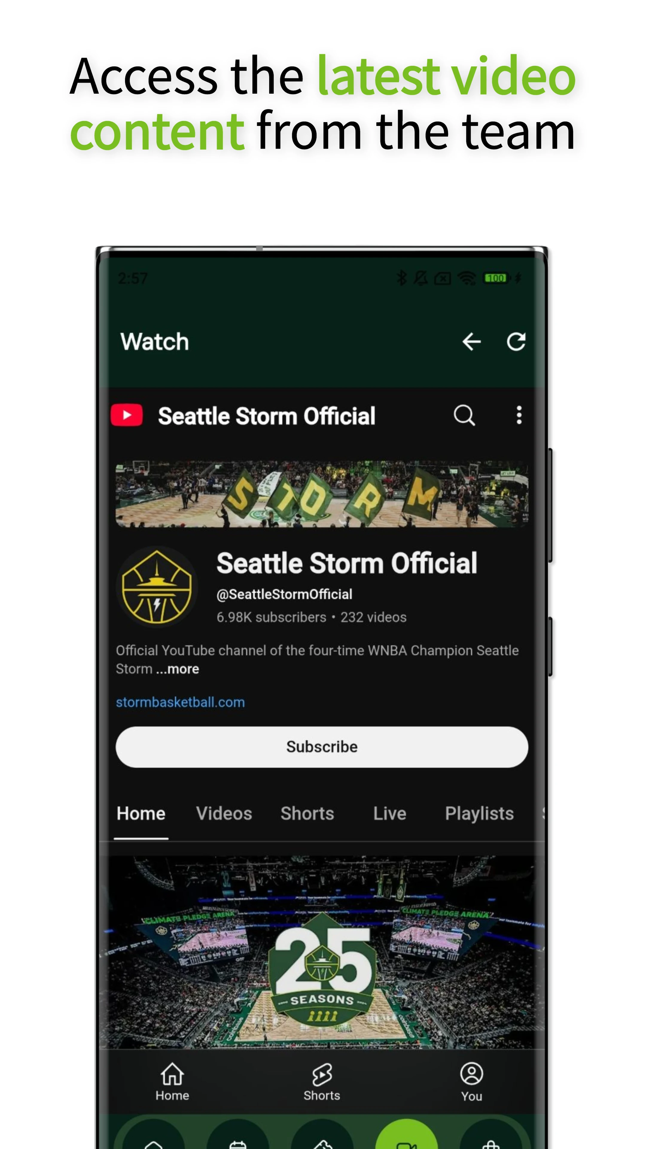 Seattle Storm screenshot